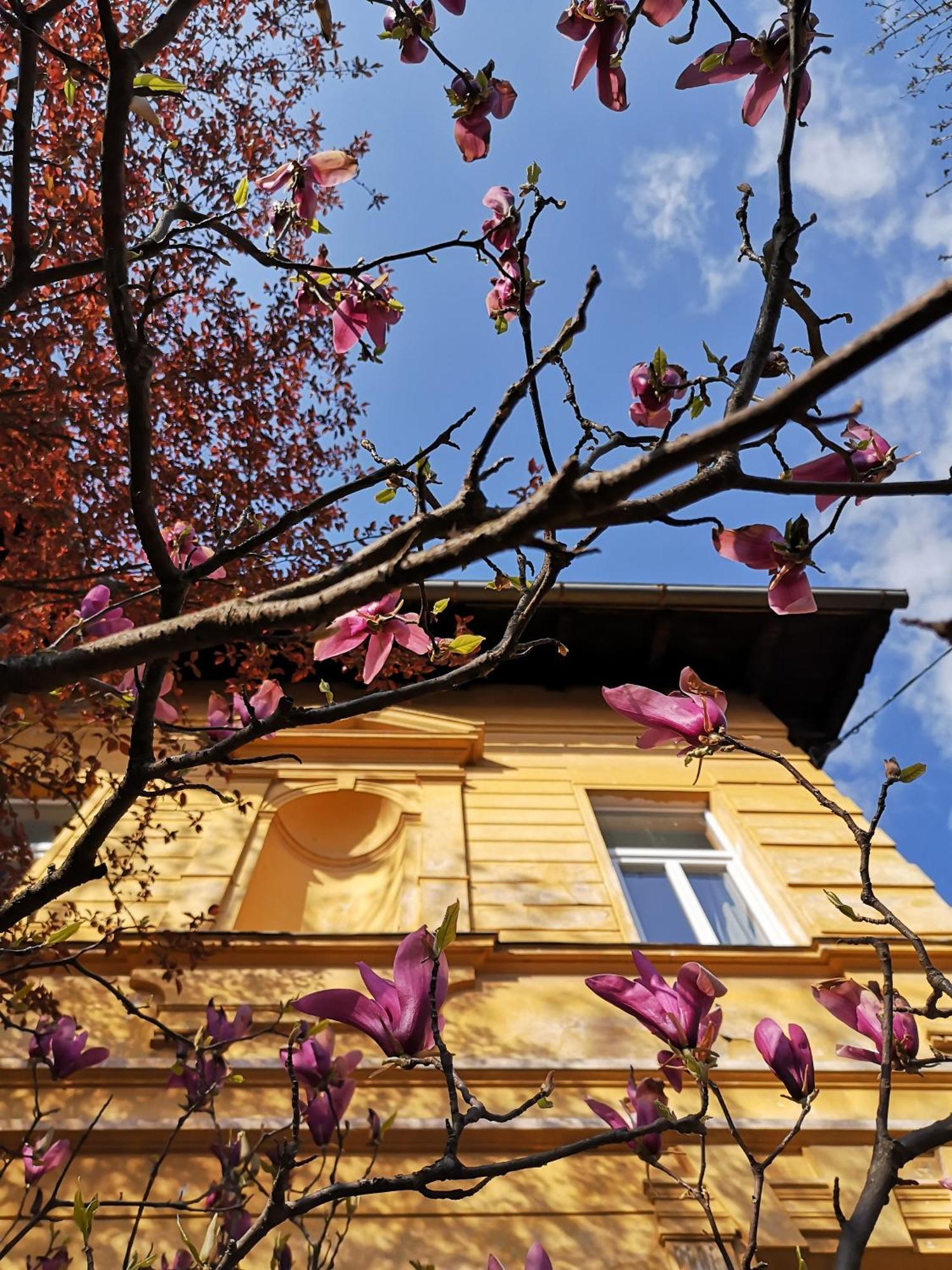 The Villa, Ljubljana City Center Екстер'єр фото
